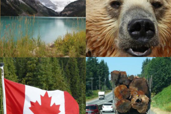 oslagbara_kanada