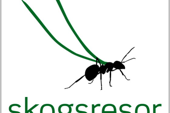 bildsaknas