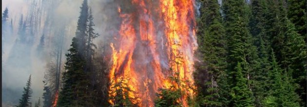 2018_bc_fires