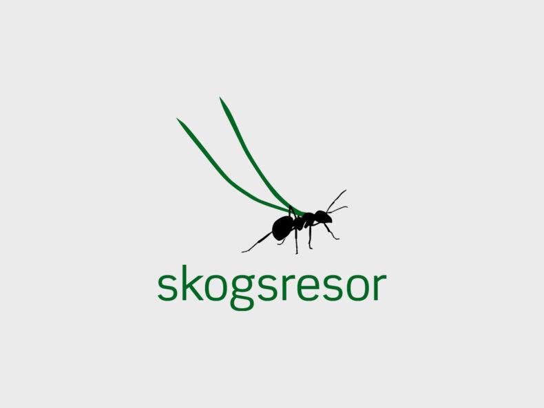 bildsaknas_2-bg