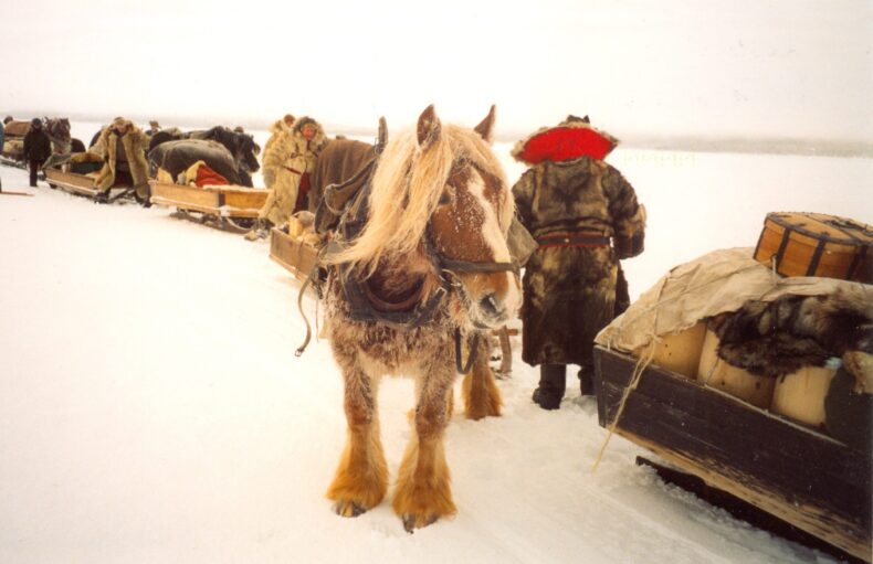 Forkörning Falun-Røros 2003. Rast på Femundens is. Foto J-O Montelius